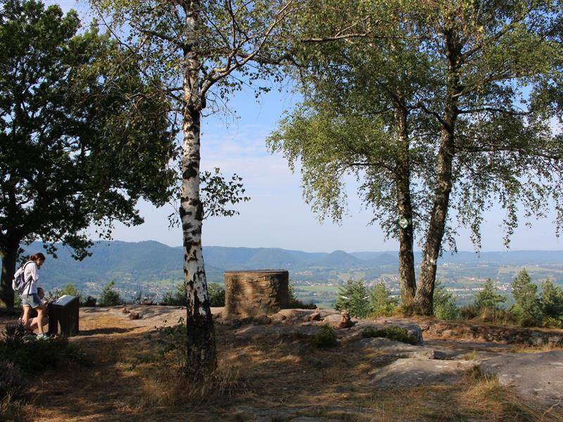 Randonnée : Circuit pédestre - Camp Celtique de la Bure