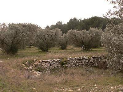 Randonnée : Lançon-Provence : Le sentier de Campagnole