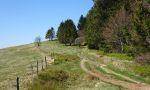 Randonnée : Circuit trail Gérardmer n°3 (vert) - La roche des Bioqués