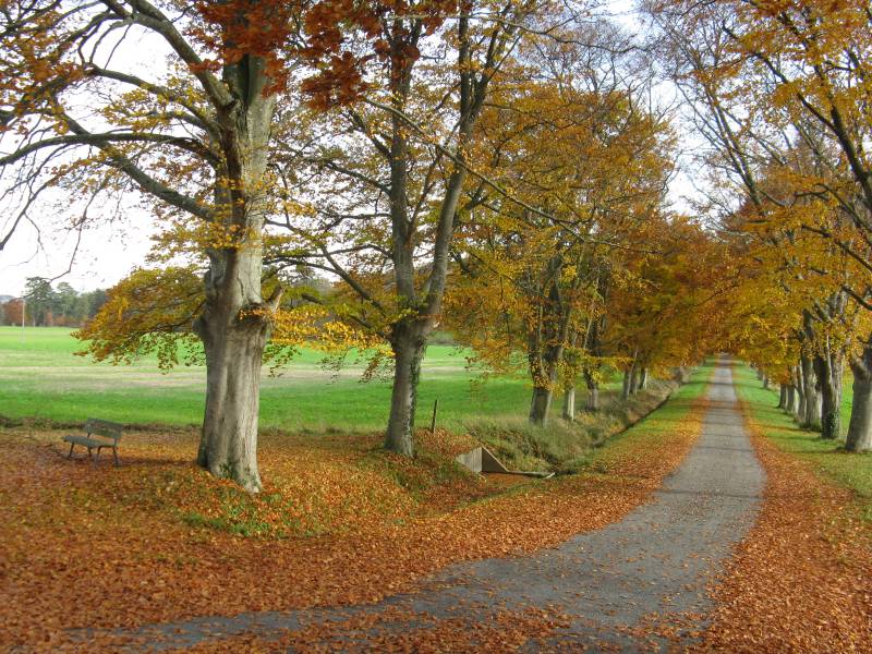 Randonnée : De la Forêt de la Groie aux bords de la Luire