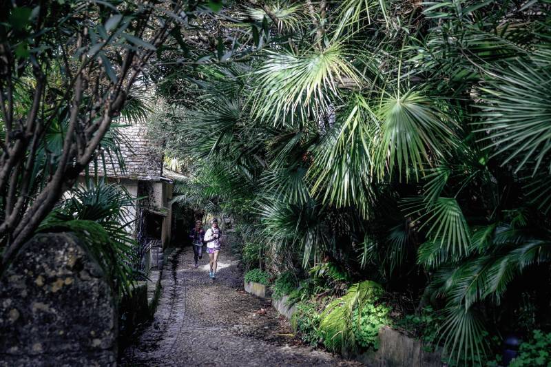 Randonnée : Trail de la Vallée