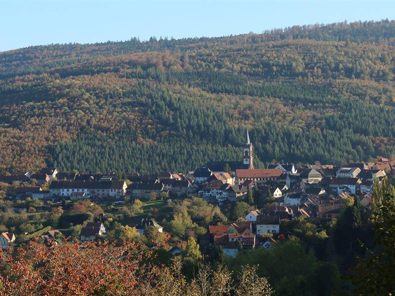 Randonnée : Circuit vélo - De Grendelbruch au Mont Sainte-Odile