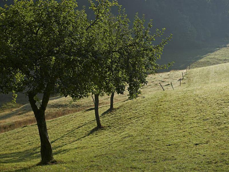 Randonnée : Circuit vélo C16 : Sur les versants de Salm