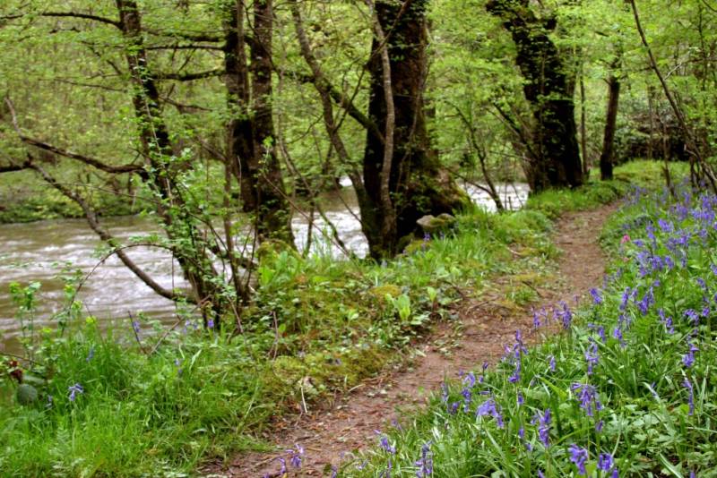 Randonnée : Les gorges de la Voueize