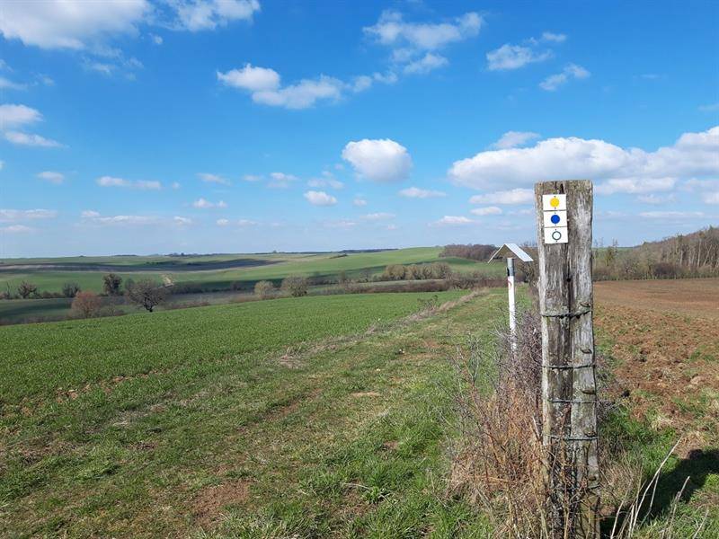 Randonnée : Circuit La voie romaine