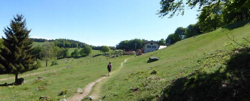 Randonnée : Balade ferme-auberge Gresson : Balade le long des murs de pierres