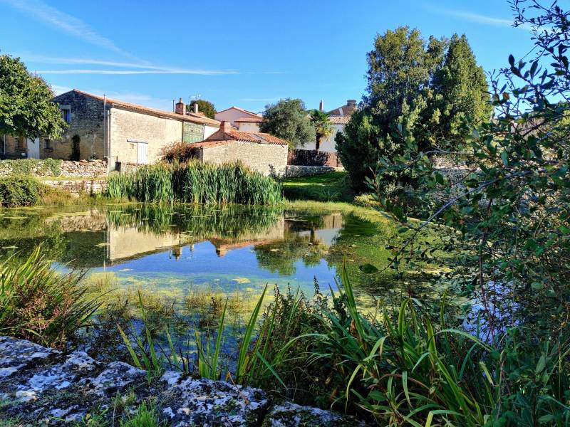 Randonnée : Parcours découverte : Tressauve