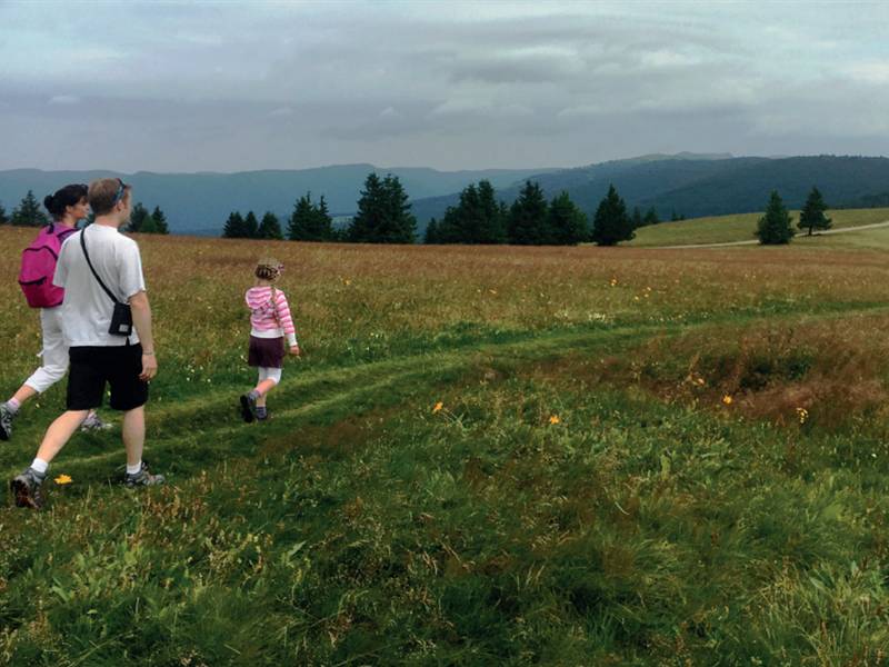 Randonnée : Balade en famille : Station du Markstein et Route des Crêtes