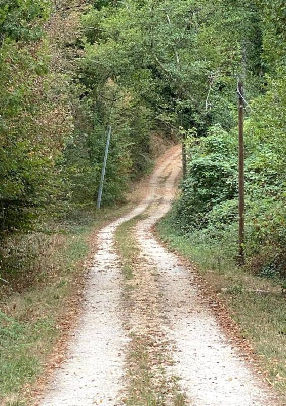 Randonnée : Boucle de Ponteyraud - La Cote