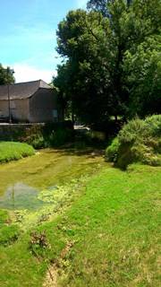 Randonnée : Boucle du Pech