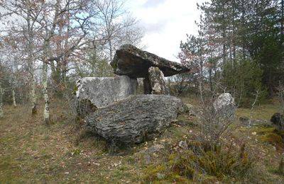 Randonnée : Les Randos des Nounous - Le Dolmen de la Peyrelevade
