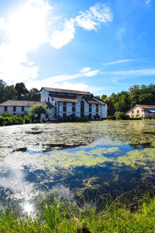 Randonnée : Sur les traces des forges