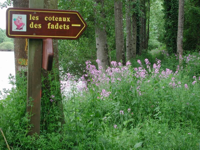 Randonnée : Les Coteaux des Fadets - Boucle 4