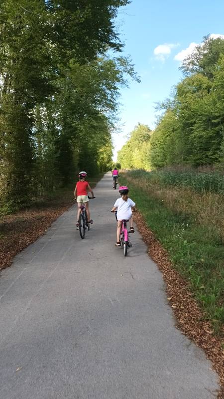 Randonnée : Voie verte  : le chemin vert