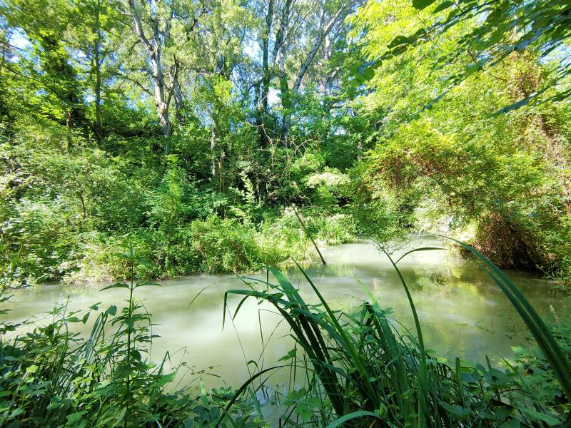Randonnée : Noves au fil de l'eau