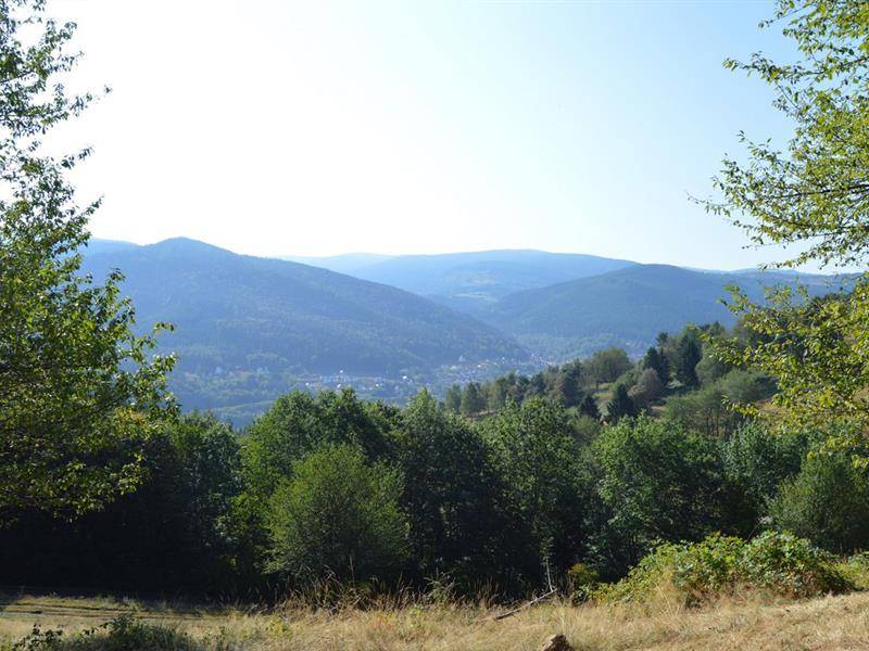 Randonnée : Circuit vélo C02 : Autour de Fréconrupt