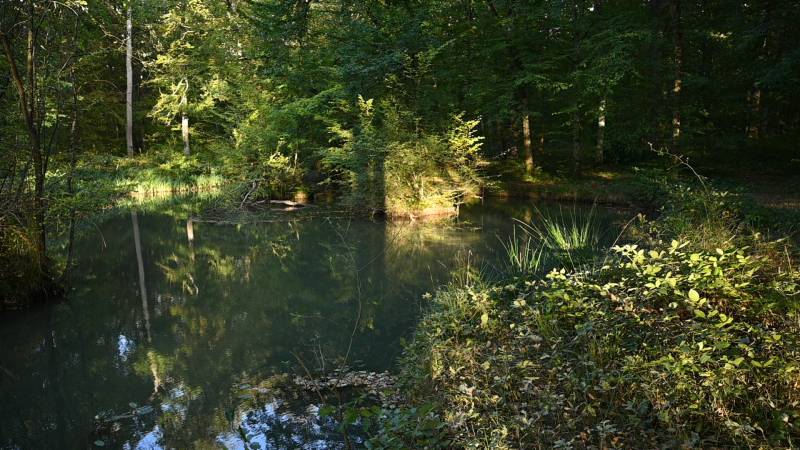 Randonnée : Fontaine en Bertranges