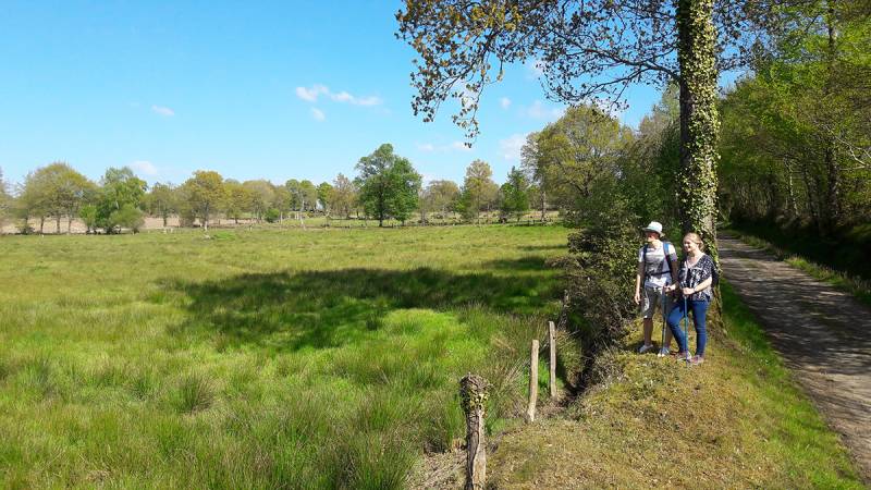 Randonnée : Le marais de Truttemer