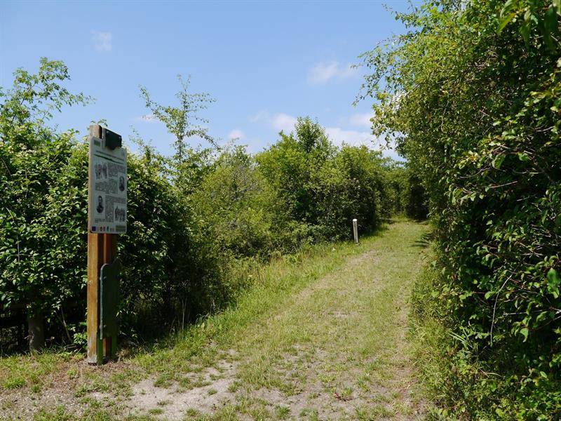 Randonnée : Promenade le long du sentier des Turcos
