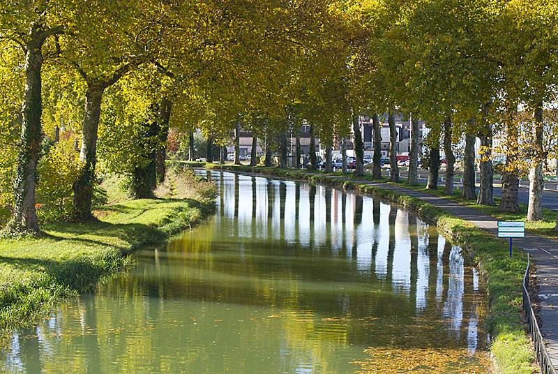 Randonnée : Saint-Dizier au fil de l'eau