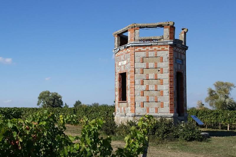 Randonnée : Entre mont et vignes