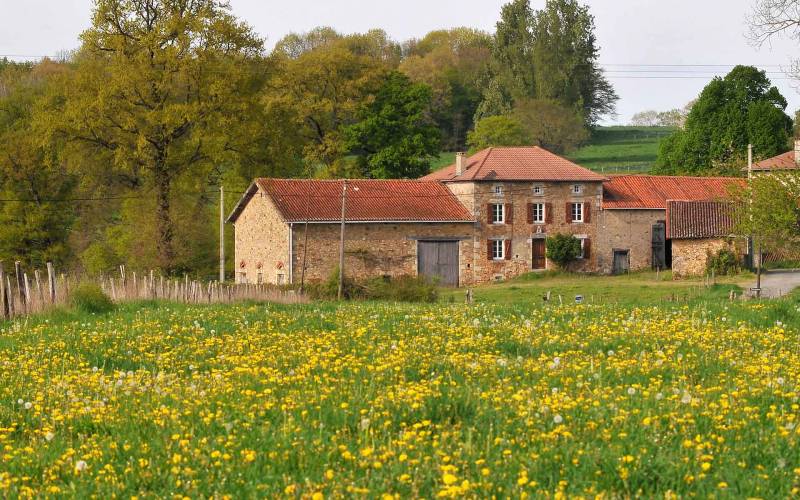 Randonnée : Sentier chez le Geai