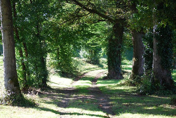 Randonnée : La Boucle VTT de Bosmie l'Aiguille - Circuit n°3 Val de Vienne Tour