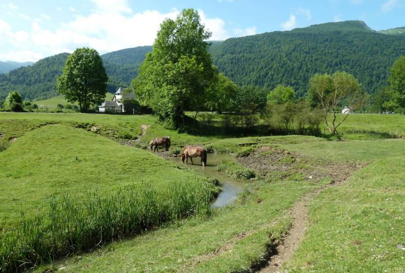 Randonnée : Balade à Roulettes N°20 Le Bénou à Bilhères-en-Ossau