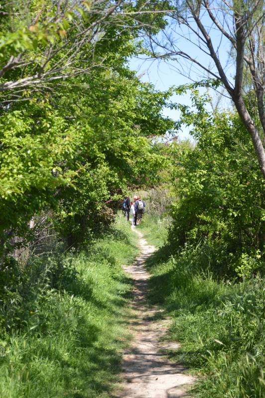 Randonnée : Sentier Petite Camargue de Marignane Les Paluns