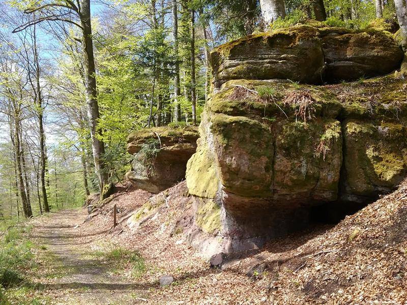 Randonnée : Rando n°17 - Boucle du Haut-du-Bois