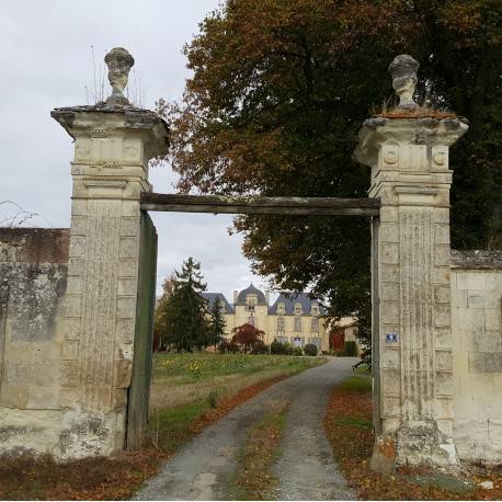 Randonnée : Les bois de Rigny