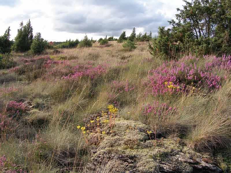 Randonnée : Sentier des bergers et tuiliers