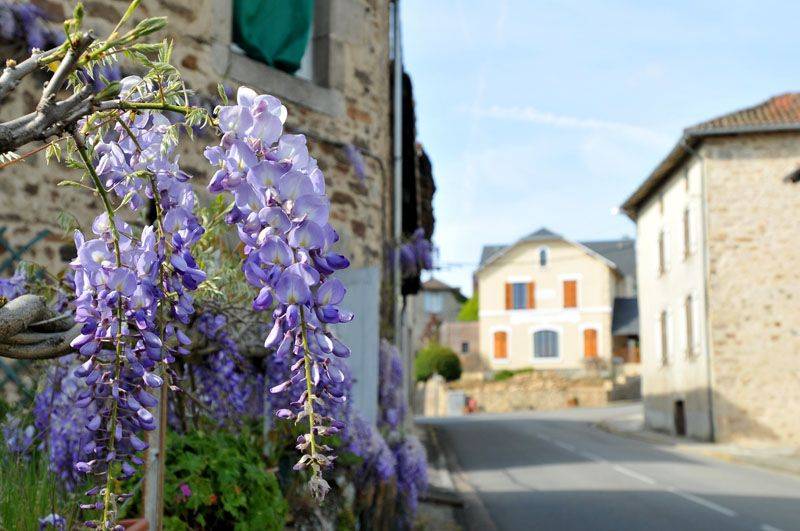 Randonnée : Chemin de Soumagnas