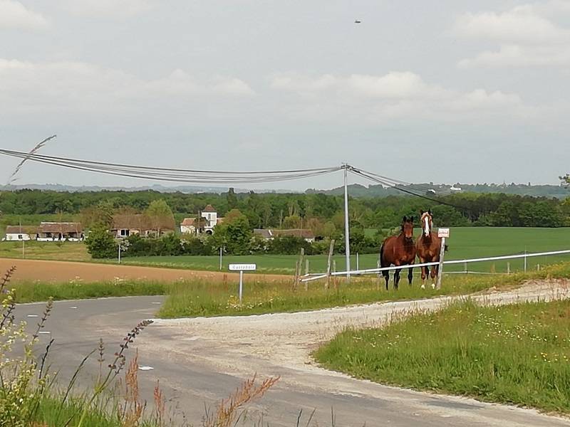 Randonnée : Circuit VTT 2 - La Vallée du Dropt