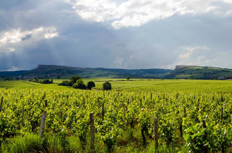 Randonnée : Autour de Solutré
