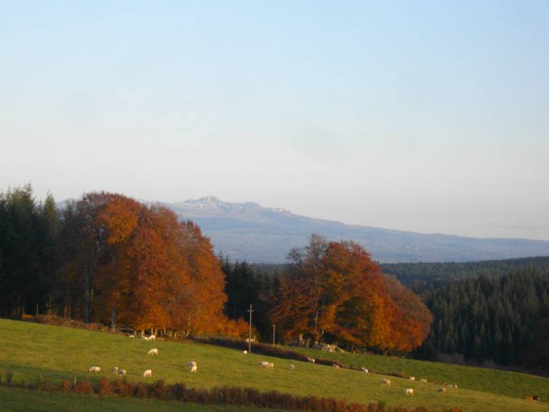 Randonnée : Circuit des deux sommets (variante intermédiaire - 5 km)