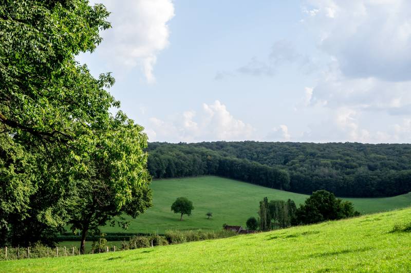 Randonnée : Circuit des Forges