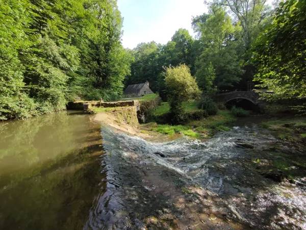 Randonnée : Balade - Autour de La Bastide l'Evêque et des Martinets du Lézert