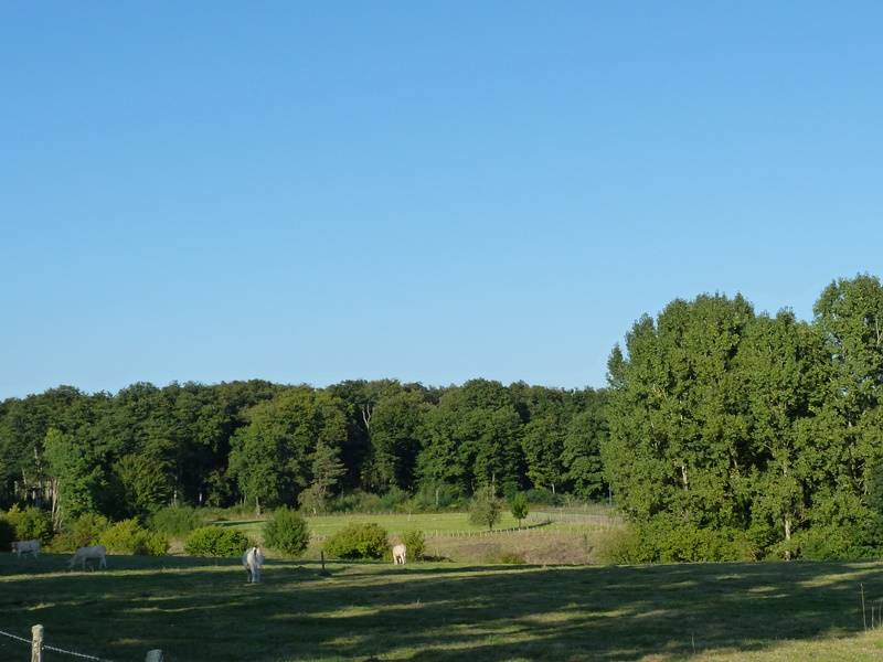 Randonnée : Promenade du Frétoy