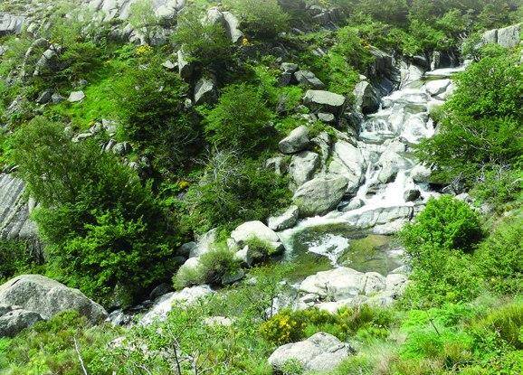 Randonnée : SENTIER  DES TOURRIÈRES