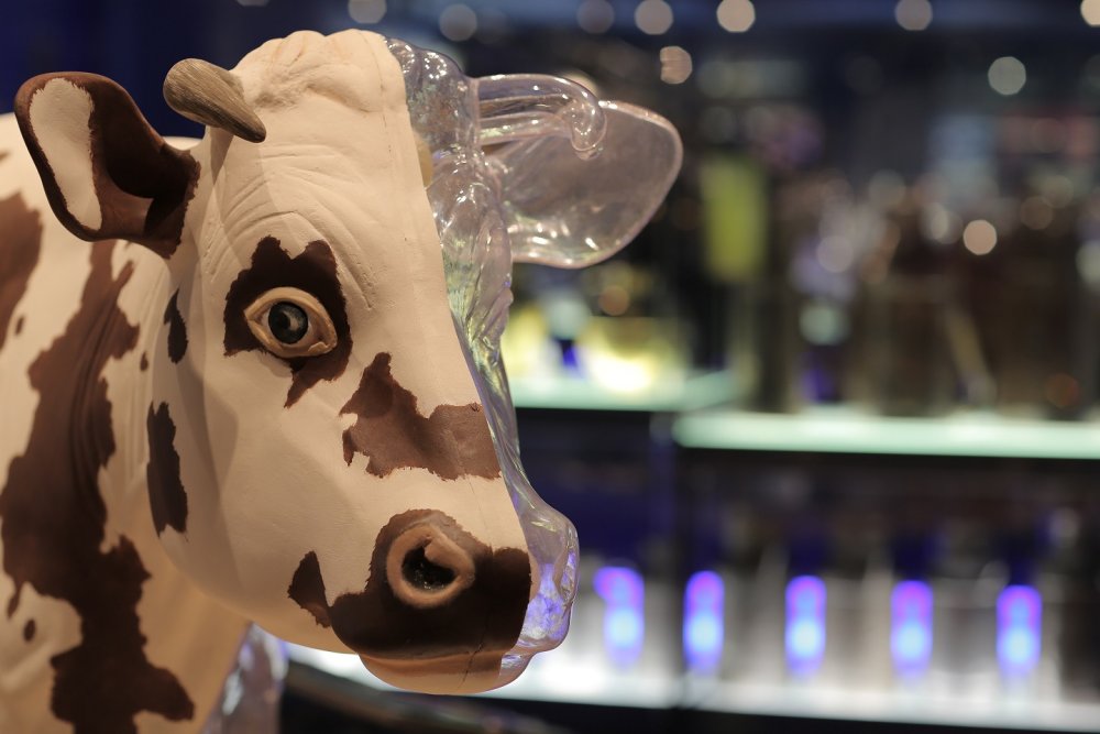 Lieu : La Cité du Lait