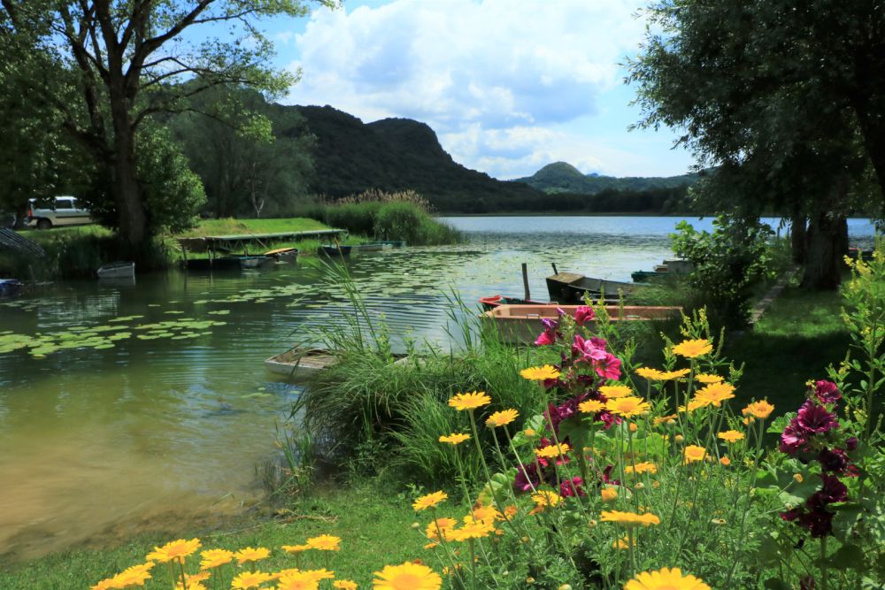 Lieu : Lac de Barterand