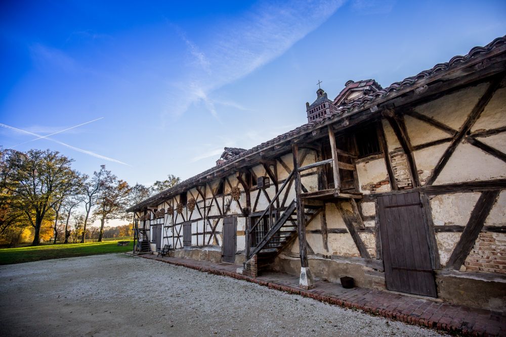 Lieu : Bocage bressan du Sougey