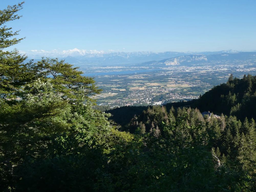 Lieu : Belvédère de la Redoute