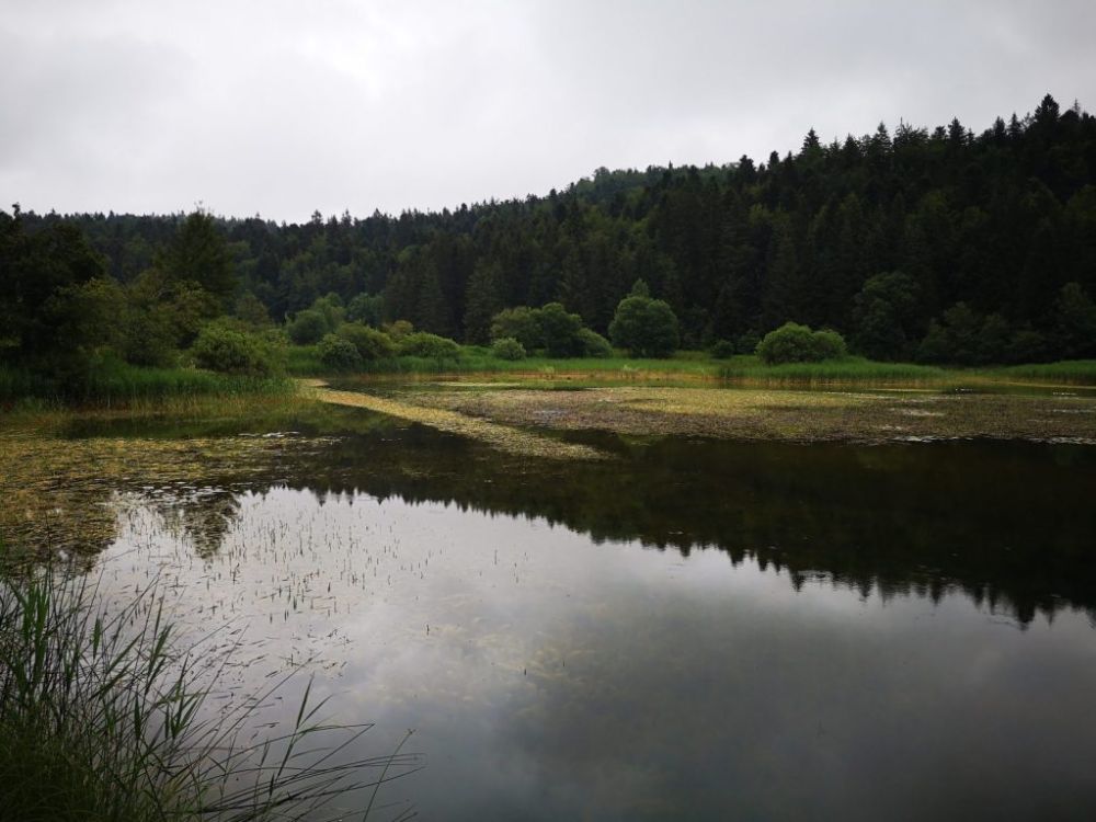 Lieu : Etangs Marron
