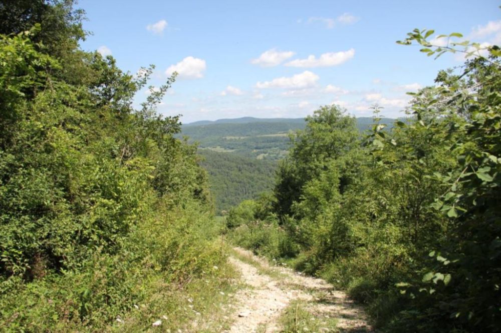 Lieu : Mont Nivigne