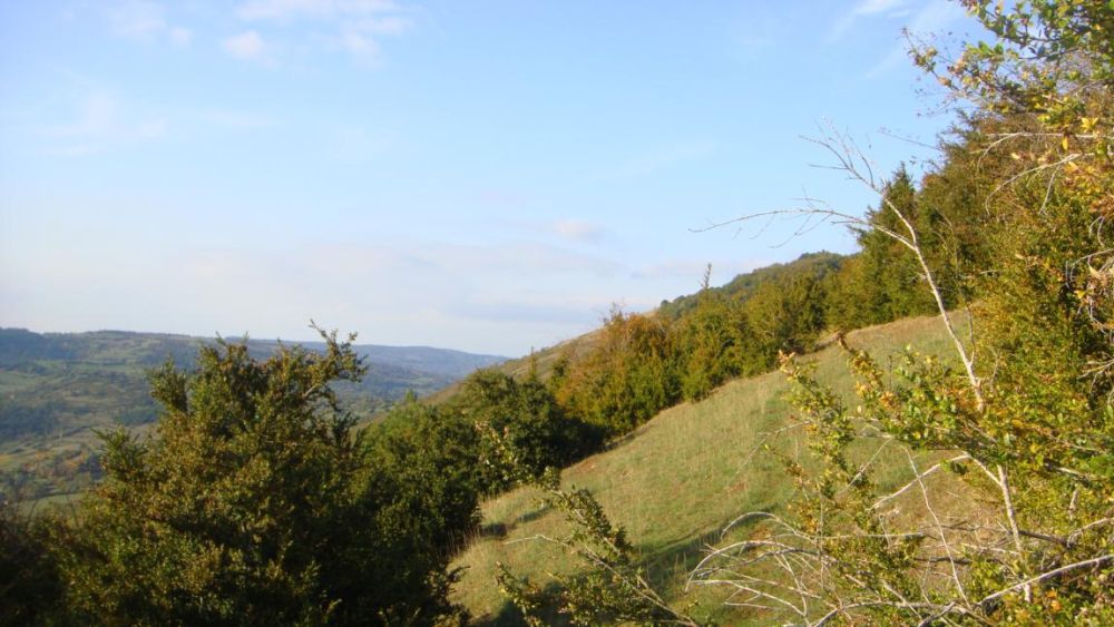Lieu : Mont Châtel