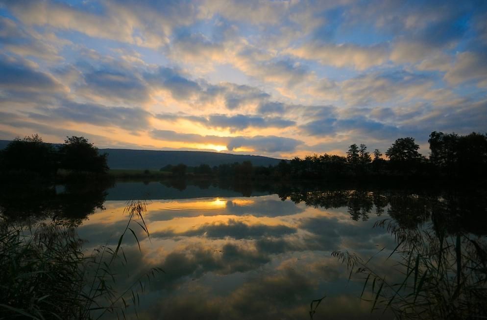 Lieu : Etang des Pilles