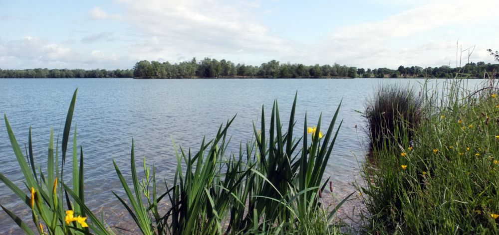 Lieu : Etang de Pontremble