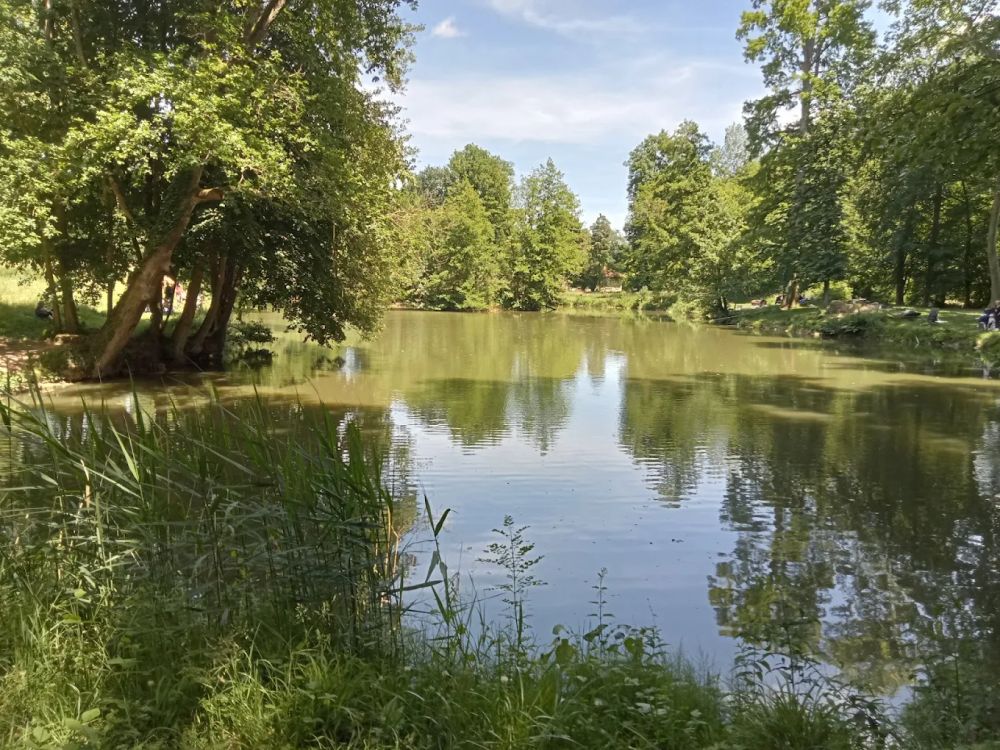 Lieu : Plan d'eau du Bois de la Dame
